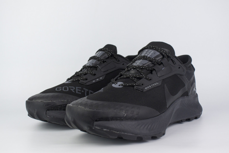 кроссовки Nike Pegasus Trail 3 Gore-tex Black