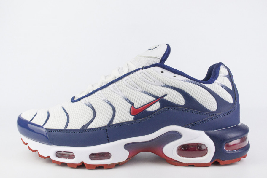 кроссовки Nike Air Max Plus Tn White / Blue