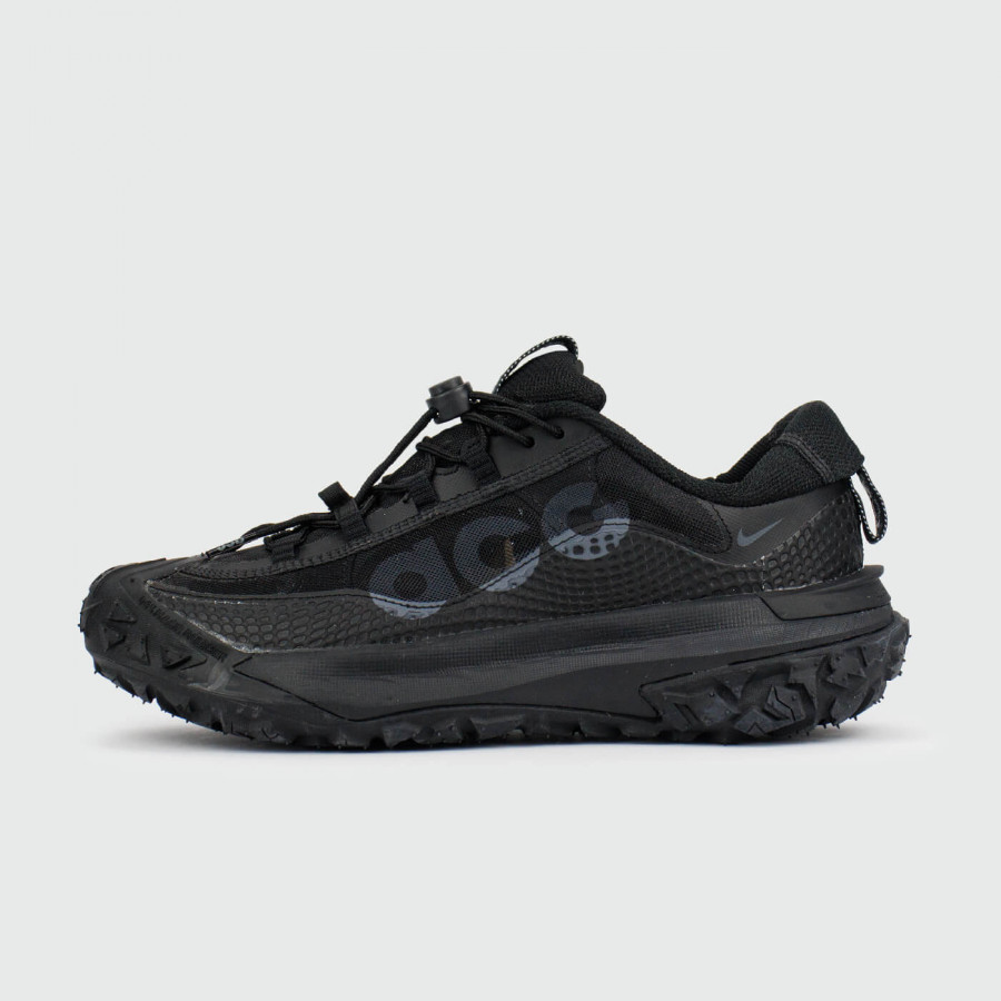 кроссовки Nike ACG Mountain Fly 2 Low GTX SE Black