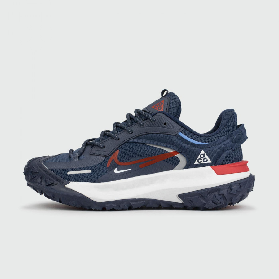 кроссовки Nike ACG Mountain Fly 2 Low Gtx Blue White