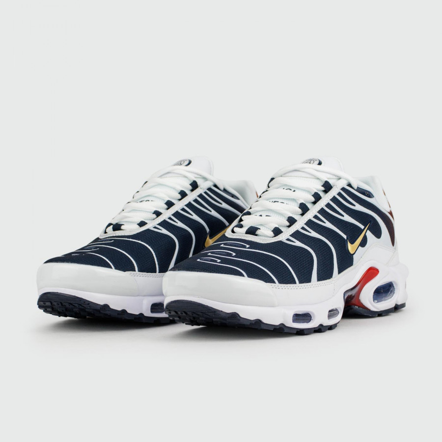 кроссовки Nike Air Max Plus Tn Blue Grey
