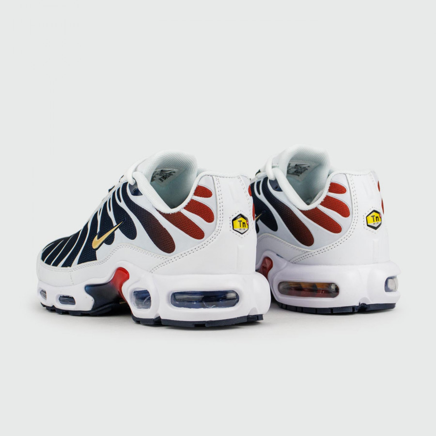 кроссовки Nike Air Max Plus Tn Blue Grey
