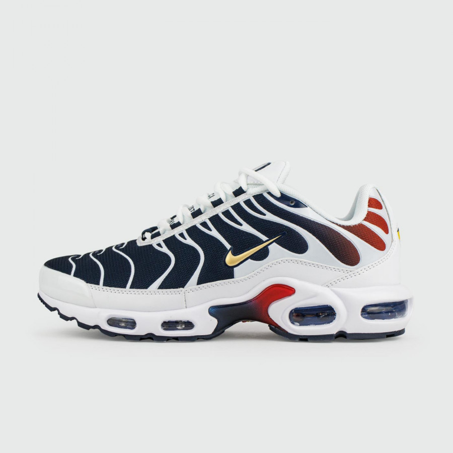 кроссовки Nike Air Max Plus Tn Blue Grey
