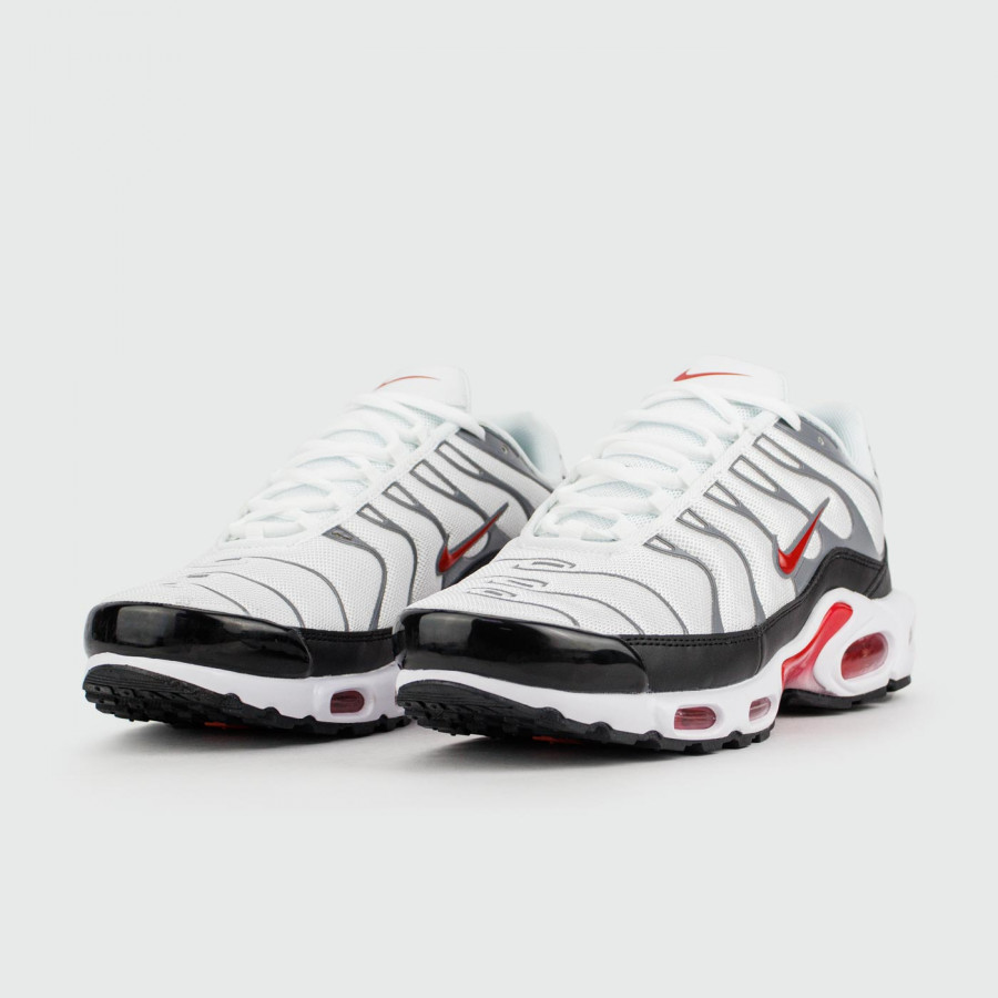 кроссовки Nike Air Max Plus Tn White Grey new