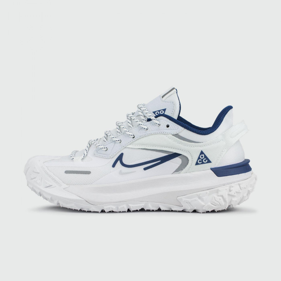 кроссовки Nike ACG Mountain Fly 2 Low Gtx White Blue